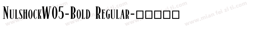 NulshockW05-Bold Regular字体转换
